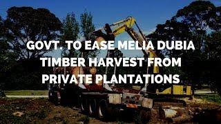 Melia Dubia (Malabar Neem Wood) GOVT  TO EASE TIMBER HARVEST FROM PRIVATE PLANTATIONS