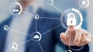 Why MSU Law for Intellectual Property?