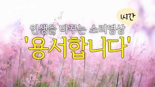 힘들 때 숨통이 트이는 소리 명상 '용서합니다' | 마음이 힘들 때 명상 | 인생을 바꾸는 명상