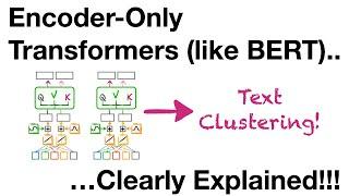 Encoder-Only Transformers (like BERT), Clearly Explained!!!