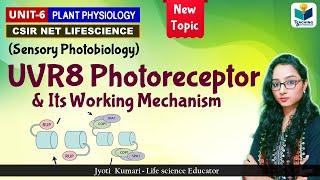 UVR8 Photoreceptor and Its working Mechanism || Plant Physiology ||CSIR NET 2024