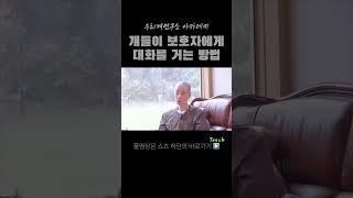 강아지가 보호자에게 말거는 방법 #강아지대화 #강아지언어 #개의언어 #강아지랑대화하기