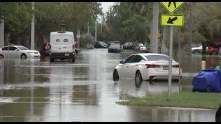 'Car Graveyard': The Weather Channel Correspondent Justin Michaels on Flooded Roads in Hollywood, FL