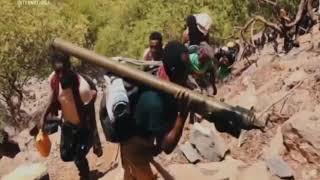 Tegadelti Tigray Tigray Defense Forces