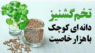 تخم گشنیز، دانه ای کوچک با هزار خاصیت