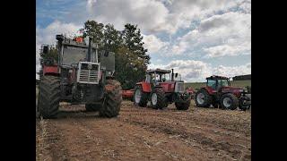 Steyr Trio 2 x 8180 & 9220 Grubbern & Mulchen Horsch Terrano Kuhn RM Dalbo Agrarservice Rimbach ASR