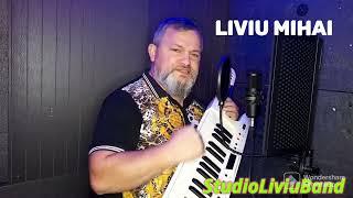 Liviu Mihai-Adu-ți aminte de a mea silința