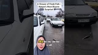 When Fish Fall from the Sky #shortsfeed #amazing