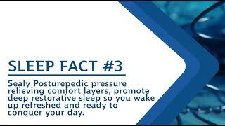 Experience Deep, Restorative Sleep with Sealy Posturepedic!