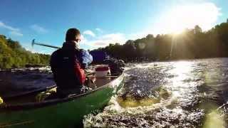 Canoeing the River Tay with the Staffies