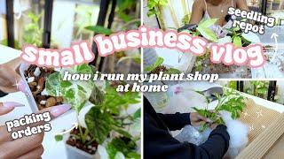 Running a Plant Store From Home Vlog🪴: Repotting Seedlings, Plant Shop Restock, Packing Orders