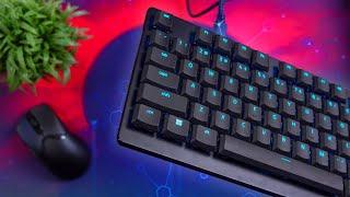 Is It Finally Time To Make The Switch To Low Profile? - Razer Deathstalker V2 Review