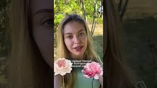 Помню, как нашла этот аромат, получала комплименты каждый день Ссылка на сайт в шапке профиля🫶