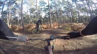 Swinley Forest With Crew From Work