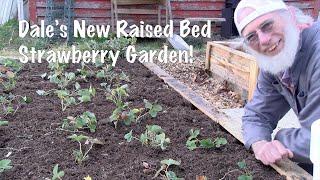 Strawberry Raise Bed Garden in the Country