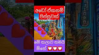 අඩෝඒකනම් සැප නැව් පේලියක්️️. #damrajini #mithudam #buses#shorts #video#lifeinrio#song #subscribe