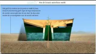 Hoe werkt de Groasis Waterboxx plant cocoon tegen woestijnvorming?