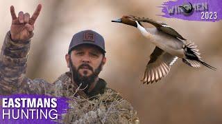 We almost lost our pintail! Duck Hunting | Wingmen by Eastmans' Hunting Journals