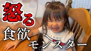 キャベツが食べた過ぎて泣いて怒るイヤイヤ期に突入した大食いの2歳児娘