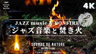 【BGM】勉強や読書に集中するための焚き火音とジャズ音楽｜Jazz music and bonfire sounds｜for Studying, Reading, Concentration