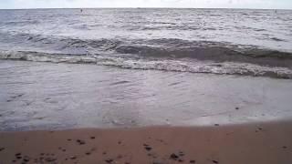 Финский залив