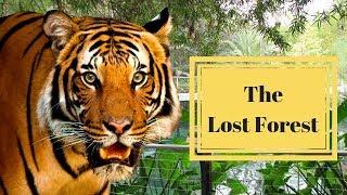 The Lost Forest at the San Diego Zoo