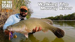 Walking The Murray River | The Full Scale