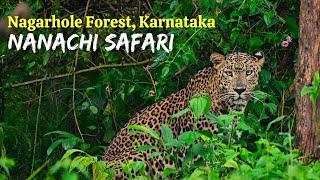 Nanachi Jungle Safari | Nagarhole Forest in Karnataka English