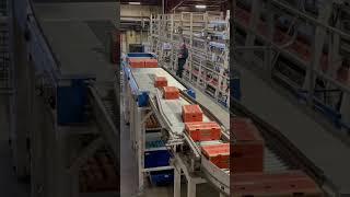 Automated high speed palletizer