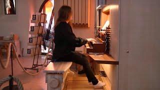 Bach: Voigt Orgel Kirchenburg Walldorf, evangelische Kirche Thüringen #fuga #vlog