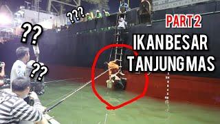 (PART 2) Ikan Besar Tanjung Mas