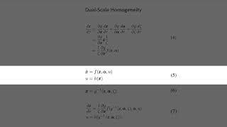 Reinforcement Learning Generalization Through Dual-Scale Homogeneity Transformations