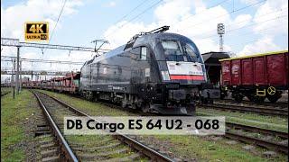 [4K] DB Cargo Romania cu vagoane Laaeks spre fabrica Ford