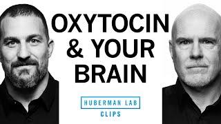 How Oxytocin Affects Attraction, Love & Social Behavior | Dr. Michael Platt & Dr. Andrew Huberman