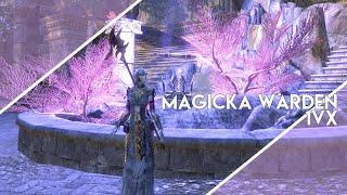 ESO - She Can't Be Stopped - Magicka Warden X -  | Summerset