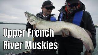 Giant Upper French River Muskies | Fish'n Canada