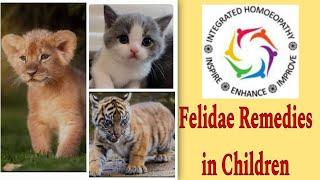 Feline Remedies in Children Cases #Lac #Felinum #Mammal #cats