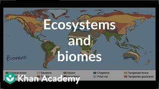 Ecosystems and biomes | Ecology and natural systems | High school biology | Khan Academy