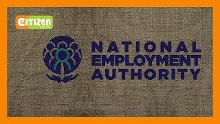 EXPLAINER | Focus on National Employment Authority