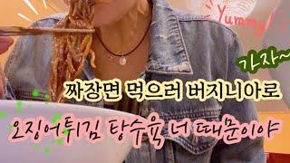 짜장면 먹으러 버지니아 갈까?? 오징어탕수육? 미국일상 Vlog  버지니아주 워싱턴DC 맛집