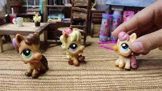 LPS & Barbie