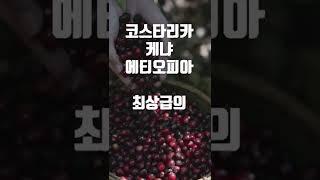 1oz 일온스 x 스타인티비 콜라보. 드립백4종 제품