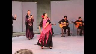 FANDANGOS DE HUELVA. "ALMA PEREGRINA" CIA. DE DANZA ESPAÑOLA Y FLAMENCO