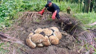 FIND THE EGGS OF THE SNAKE QUEEN BUNTETS OF THE BLACK LAND Dwelling MONSTERS | SNAKE | RESCUE