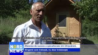 Afacerea de succes a apicultorului din Chișcăreni, Sîngerei care tratează, nu doar îndulcește