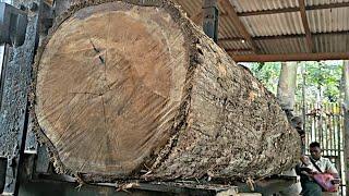 The process of sawing teak wood into blocks and furniture boards worth hundreds of US dollars