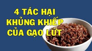 Giật Mình 4 Tác Hại Kinh Khủng Của Gạo Lứt, Chữa Biết Tuyệt Đối Cấm Ăn