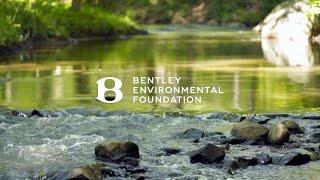 Introducing The Rivers Trust | Bentley Environmental Foundation