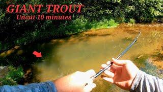 10 Minutes of Uncut Trophy Trout Fishing!