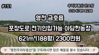 영천 금호읍 포장도로 전기인입가능 아담한농장 621m²(188평) 2300만원